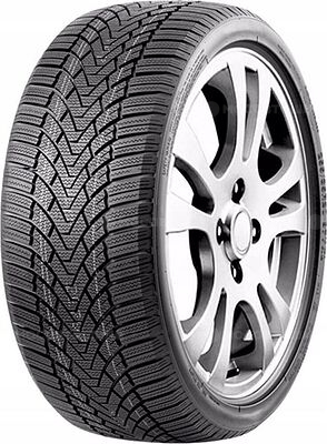 RoadMarch WinterXPro 888 215/55 R16 97H XL